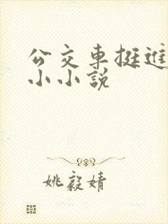 公交车挺进她的小小说