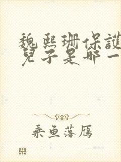 魏熙珊保护萧峥儿子是哪一集