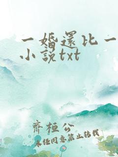 一婚还比一婚高小说txt