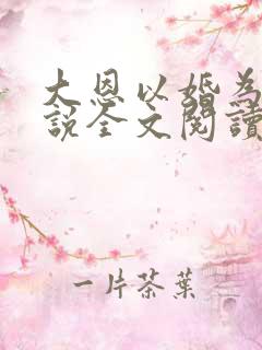 大恩以婚为报小说全文阅读
