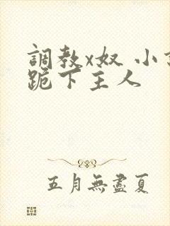调教x奴 小说跪下主人
