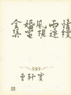 金婚风雨情50集电视连续剧