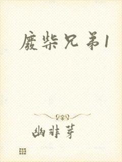 废柴兄弟1