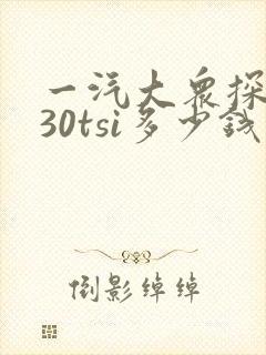 一汽大众探岳330tsi多少钱