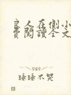 良人在侧小说免费阅读全文