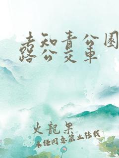 去知青公园坐几路公交车