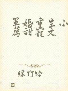 军婚重生小说推荐甜宠文