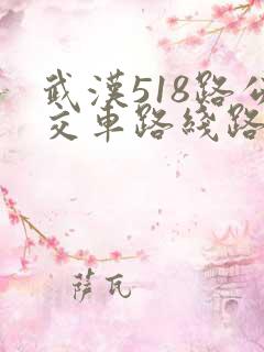 武汉518路公交车路线路线图