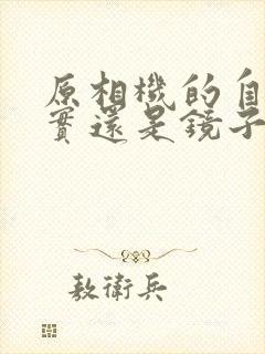 原相机的自己真实还是镜子