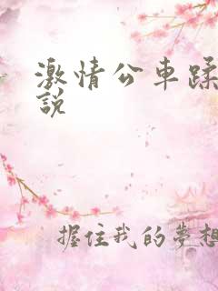激情公车蹂躏小说