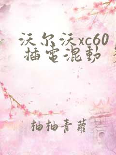 沃尔沃xc60 插电混动 多少钱