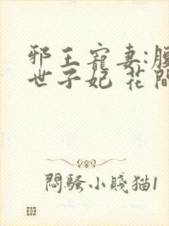 邪王宠妻:腹黑世子妃 花间雪