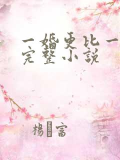 一婚更比一婚高完整小说