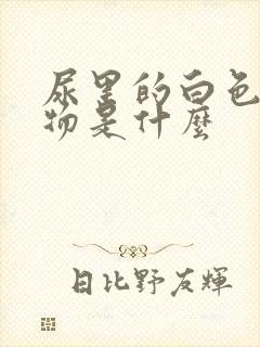 尿里的白色沉淀物是什么