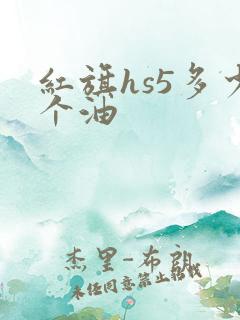 红旗hs5多少个油