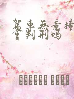 驾车无意撞死人会判刑吗