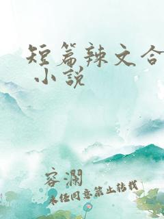 短篇辣文合集. 小说