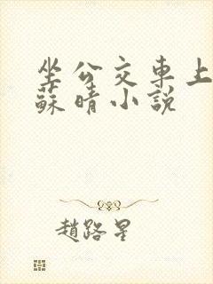 坐公交车上班的苏晴小说