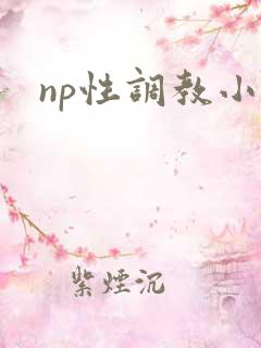 np性调教小说