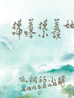 摸着摸着她高潮呻吟小说