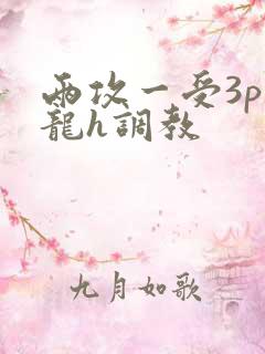 两攻一受3p双龙h调教
