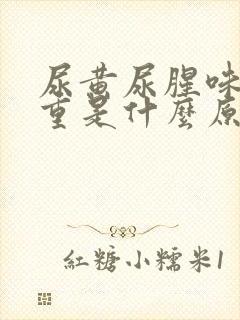 尿黄尿腥味特别重是什么原因
