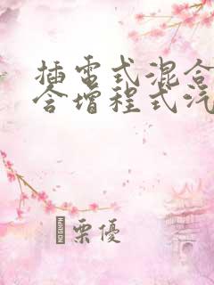 插电式混合动力含增程式汽车