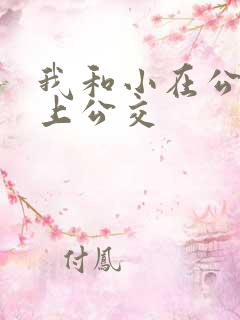我和小在公交车上公交