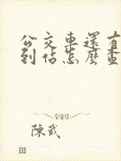 公交车还有几站到站怎么查