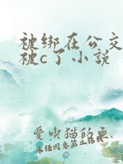 被绑在公交车里被c了小说