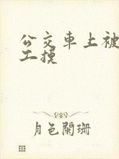 公交车上被农民工摸