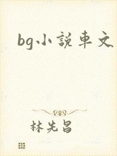 bg小说车文