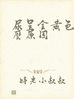 尿呈金黄色是什么原因