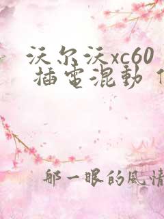 沃尔沃xc60 插电混动 价格