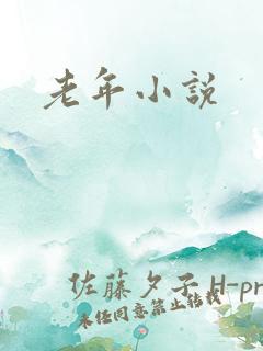 老年小说