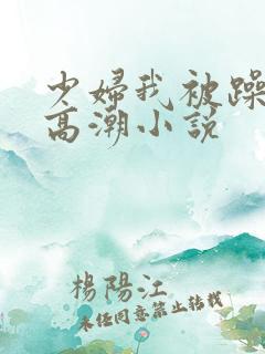 少妇我被躁爽到高潮小说