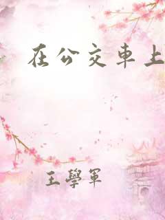 在公交车上肉