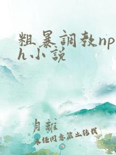 粗暴调教np高h小说