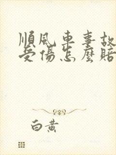顺风车事故乘客受伤怎么赔偿