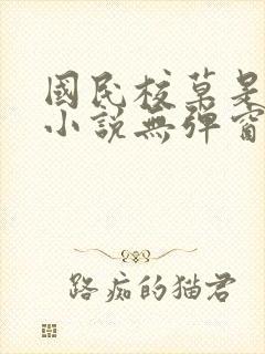 国民校草是女生小说无弹窗