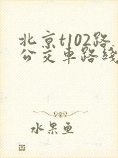 北京t102路公交车路线时间表