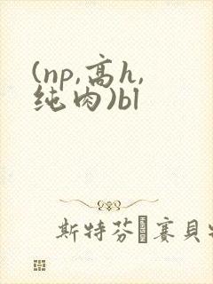 (np,高h,纯肉)bl