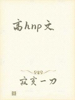高hnp文