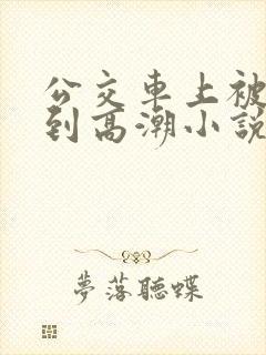 公交车上被人摸到高潮小说