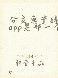 公交车实时动态app是哪一个