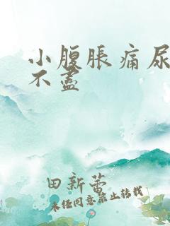 小腹胀痛尿频尿不尽