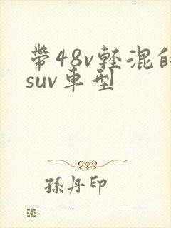 带48v轻混的suv车型