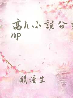 高h小说公交车np