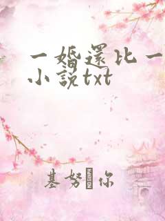 一婚还比一婚高小说txt