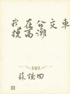 我在公交车上被摸高潮